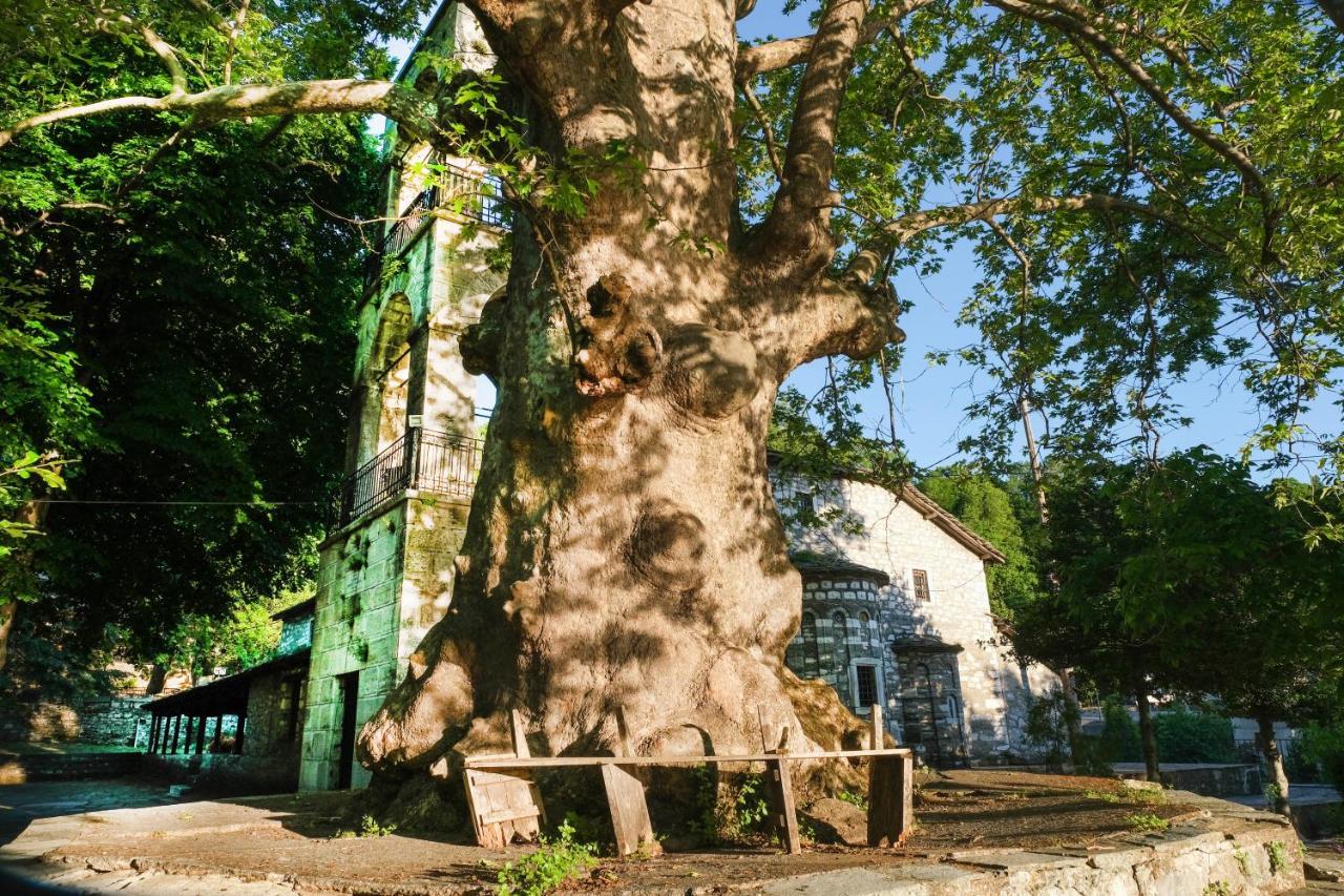 A Dream Deferred Villa Pelion Kissos  Extérieur photo