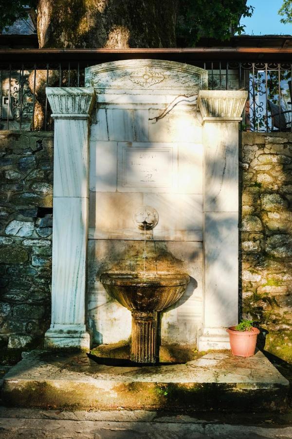 A Dream Deferred Villa Pelion Kissos  Extérieur photo