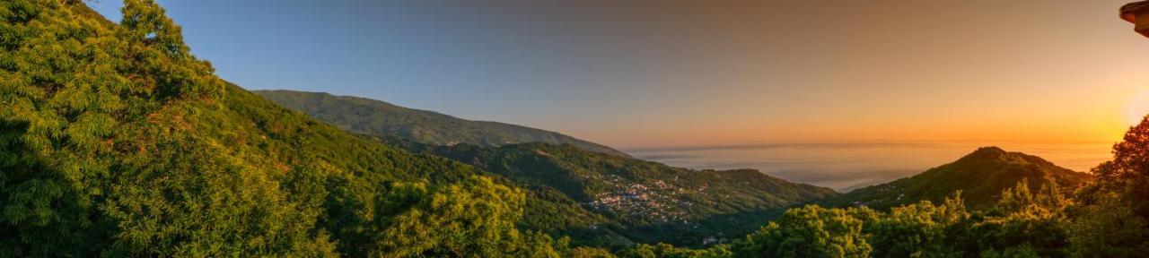 A Dream Deferred Villa Pelion Kissos  Extérieur photo